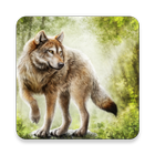 1000 Wolf Wallpapers-icoon
