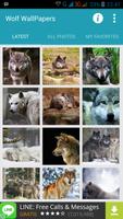 1000 Wolf Wallpapers Affiche