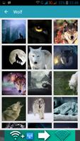1000 Wolf Wallpapers اسکرین شاٹ 1