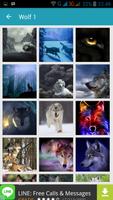1000 Wolf Wallpapers captura de pantalla 2