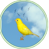 Reclamo y cantos de pajaros APK