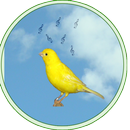 Reclamo y cantos de pajaros APK