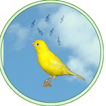 Reclamo y cantos de pajaros