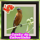 Canto De Caboclinho Brasileiros icon