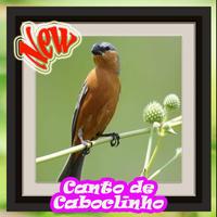 Canto De Caboclinho Brasileiros 포스터