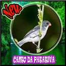 Cantos Da Patativa Novo Mp3 APK