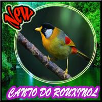 Canto do Rouxinol Novo Mp3 plakat