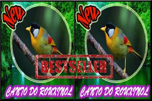 Canto do Rouxinol Novo Mp3 screenshot 2