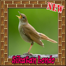 Suara Burung Sikatan Londo Terbaik Mp3 APK