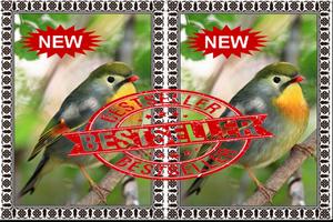 2 Schermata Burung Robin Terbaik Mp3
