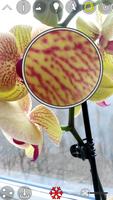 Magnifier syot layar 2