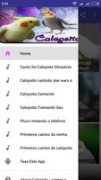 Calopsita - cantos e dicas capture d'écran 1