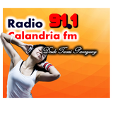 Calandria Fm 91.1 icon