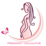 Pregnancy calculator