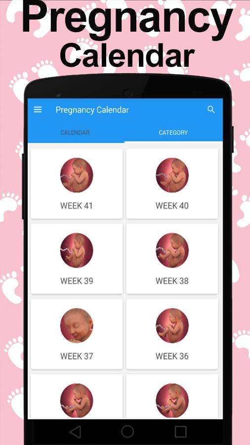 Pregnancy Calculator Calendar Week By Week For Android Apk Download