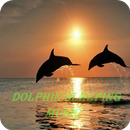 Healing Dolphin & Whales Sound APK