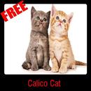 Calico Cat APK