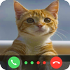 Call From Little Cat APK
