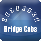 60603030-BridgeCabs,Cochin icône