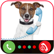 Call From Dog Tom