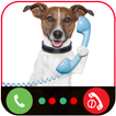 ”Call From Dog Tom