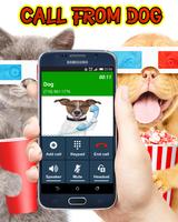 Call From Dog Tom 截图 1