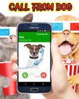 Call From Dog Tom 截图 3