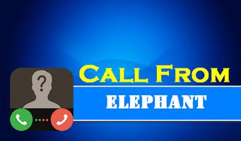 Call From Elephant Affiche