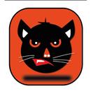 Calling From An Angry Cat APK