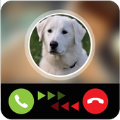 My Dog Calling Prank icon