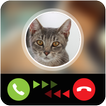 Talking Cat Calling Prank