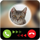 Talking Cat Calling Prank ikona
