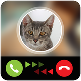 Talking Cat Calling Prank icône