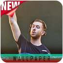 Calvin Harris Wallpapers HD APK