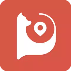 download DDPai APK