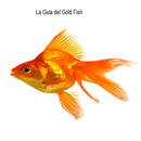 Guía Goldfish APK