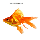 Guía Goldfish icon