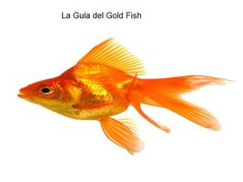 Guía Goldfish скриншот 1