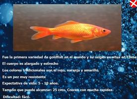 Guía Goldfish capture d'écran 2
