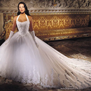 Bridal Gowns and Wedding Dress APK
