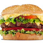 Hamburger and Burger Recipes-icoon