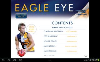 Eagle Eye imagem de tela 1