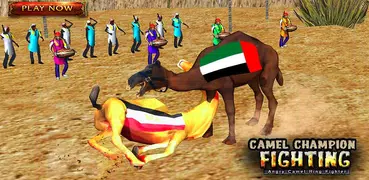 Camel Champion Fighting: Angry