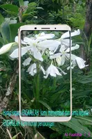 Camera 36 pro پوسٹر