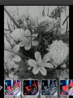 camera filters and effects syot layar 2