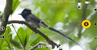 HD Camera For iPhone7 bài đăng