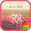 carpe diem dodol theme