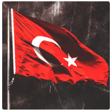 Türk Bayrağı ไอคอน
