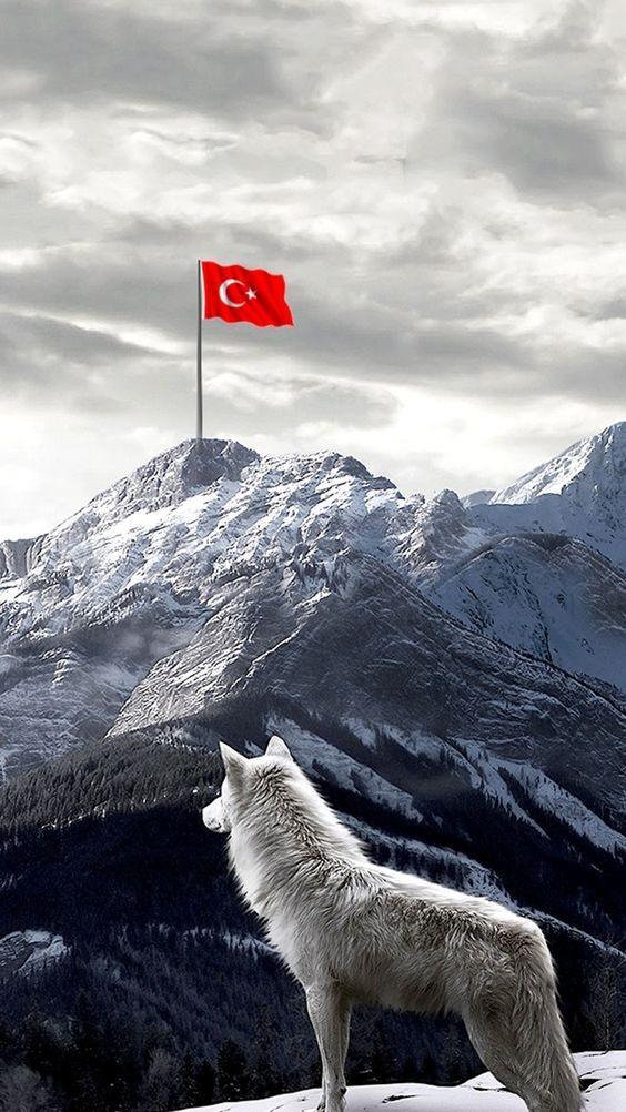 Türkçü Duvar Kağıtları for Android APK Download