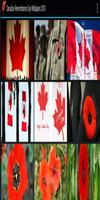 Canadian Remembrance Day Wallpapers 2018 Affiche